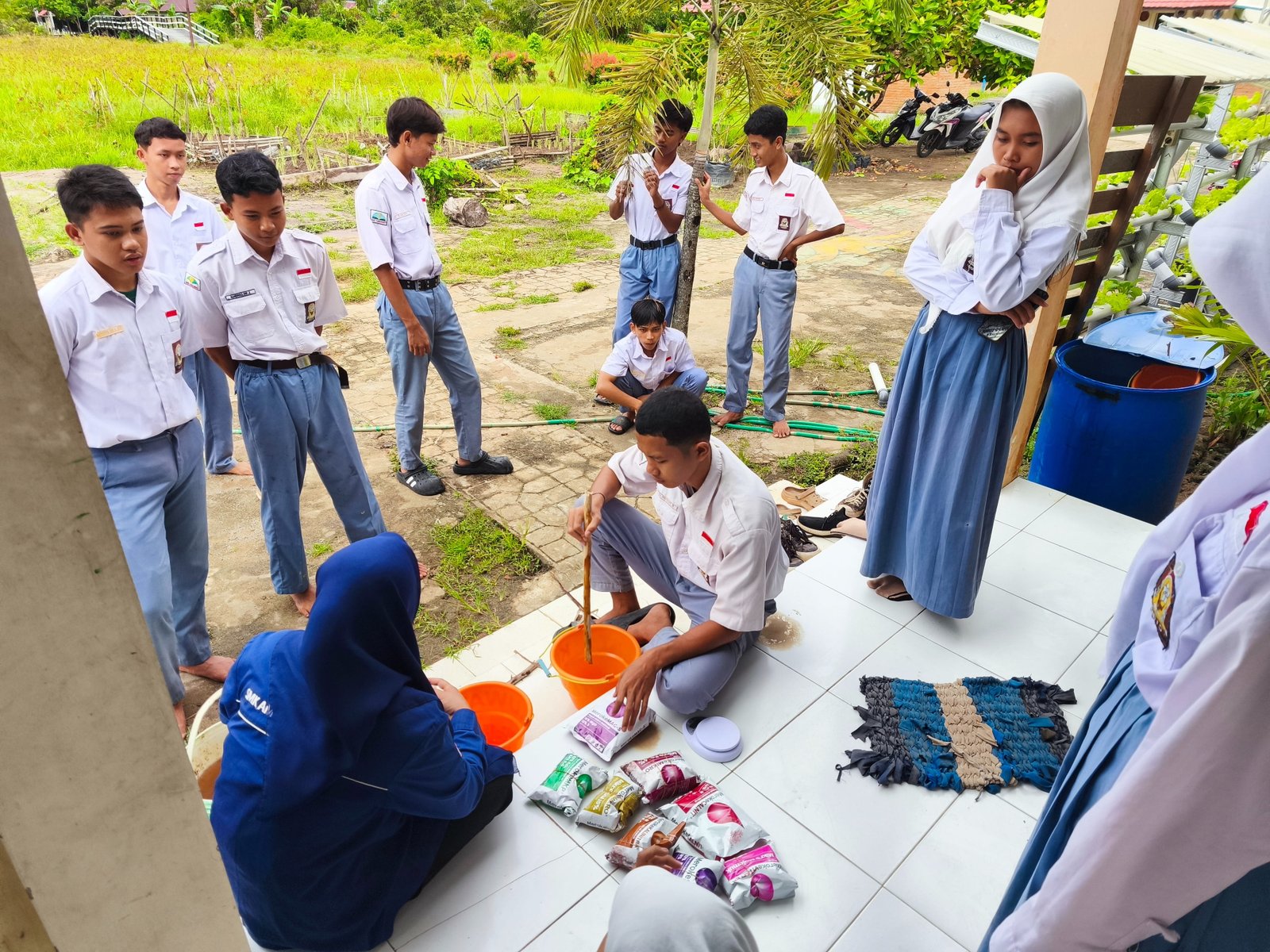 Pembelajaran Penggunaan pupuk tani tanaman Hidroponik